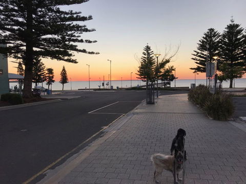 BIG4 Ceduna Tourist Park - Sydney Tourism 34