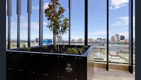 ONE Adelaide CBD - Sydney Tourism 33