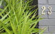 My Port Lincoln Place - thumb 17
