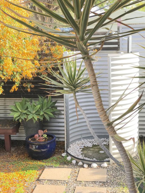 Milly\'s Middleton - Pet-friendly - Sydney Tourism 23