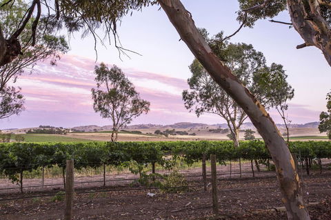 Jasmine\'s Barossa Valley Cottage - Sydney Tourism 19