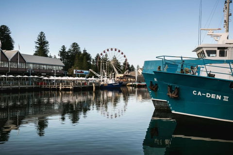 Oceanside 23 - Sydney Tourism 25