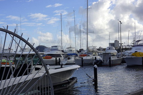Oceanside 23 - Sydney Tourism 24