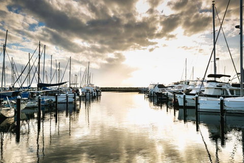 Oceanside 23 - Sydney Tourism 2