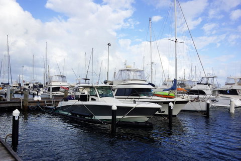 Oceanside 23 - Sydney Tourism 23
