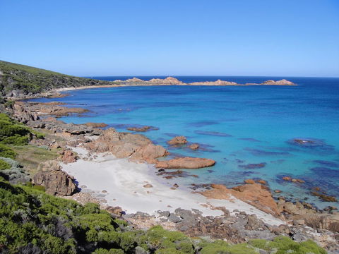 Villa On Fearn - Sydney Tourism 20