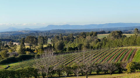 Grapevines Boutique Accommodation - Sydney Tourism 21