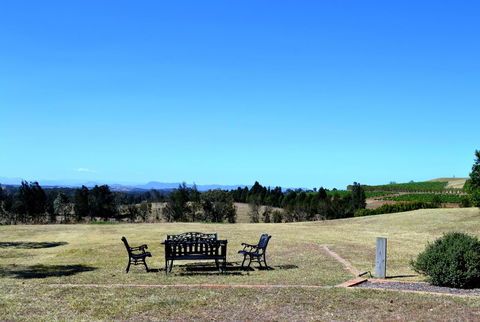Grapevines Boutique Accommodation - Sydney Tourism 18