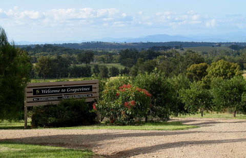 Grapevines Boutique Accommodation - Sydney Tourism 15