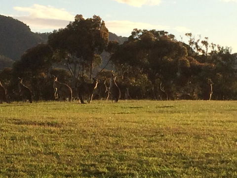 Grapevines Boutique Accommodation - Sydney Tourism 26