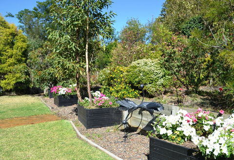 Grapevines Boutique Accommodation - Sydney Tourism 17
