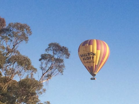Grapevines Boutique Accommodation - Sydney Tourism 12