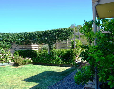 Grapevines Boutique Accommodation - Sydney Tourism 14