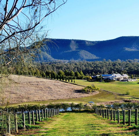 Grapevines Boutique Accommodation - Sydney Tourism 5