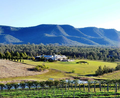 Grapevines Boutique Accommodation - Sydney Tourism 0