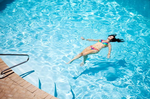 Seashells Scarborough - Sydney Tourism 14