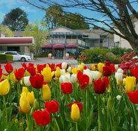 Nesuto Leura Gardens formerly Waldorf Leura Gardens Resort - Sydney Tourism