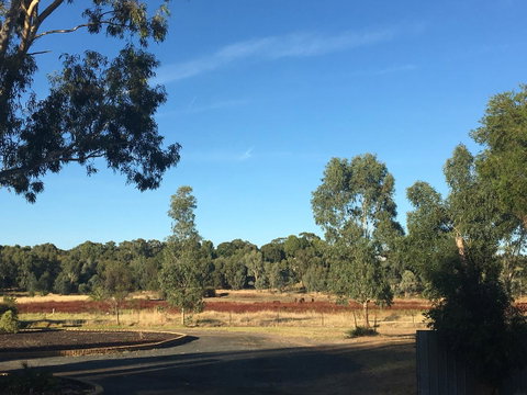 Junee Motor Inn - Sydney Tourism 24
