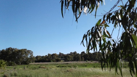 Junee Motor Inn - Sydney Tourism 8