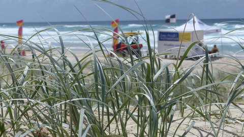 SaltBeach2302 - Sydney Tourism 14