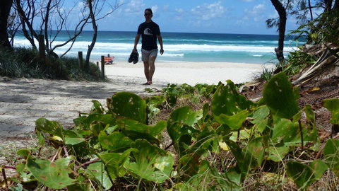 SaltBeach2302 - Sydney Tourism 15