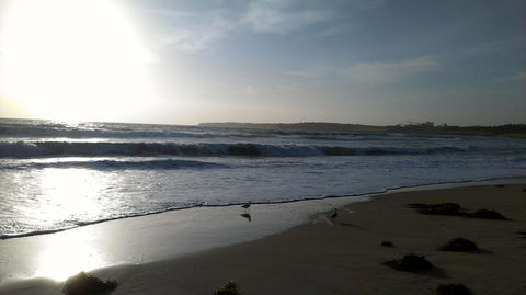 Sweet Spot Shellharbour - Sydney Tourism 14