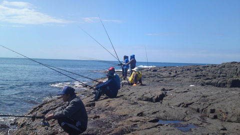 Sweet Spot Shellharbour - Sydney Tourism 13
