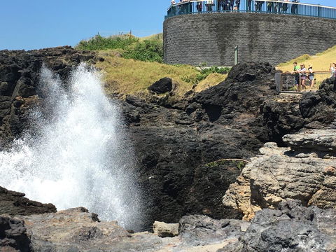 Sweet Spot Shellharbour - Sydney Tourism 18