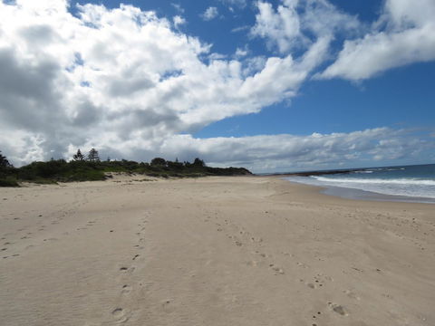 Sweet Spot Shellharbour - Sydney Tourism 15