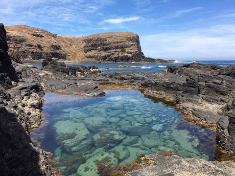 Sweet Spot Shellharbour - Sydney Tourism 17