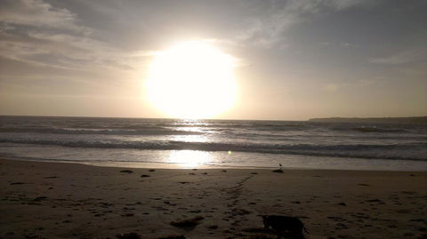 Sweet Spot Shellharbour - Sydney Tourism 16
