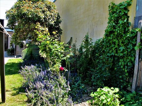 Apple Tree Cottage - Sydney Tourism 24