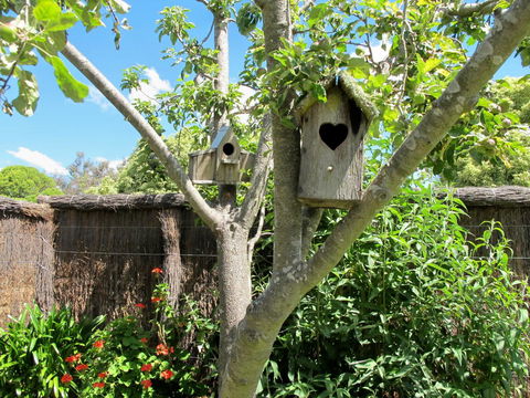 Apple Tree Cottage - Sydney Tourism 28