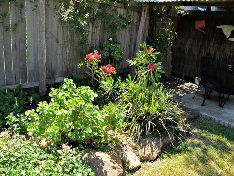 Apple Tree Cottage - Sydney Tourism 26