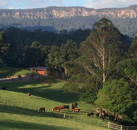 Amaroo Valley Springs - Sydney Tourism
