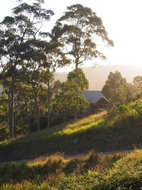 Book Bawley Point Accommodation Sydney Tourism Sydney Tourism