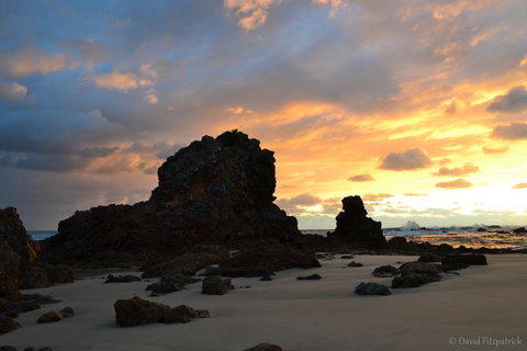 Flynns Beach Resort - Sydney Tourism 19