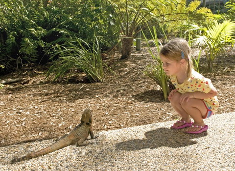 Flynns Beach Resort - Sydney Tourism 16