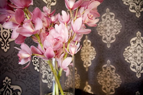 Hotel Challis Potts Point - Sydney Tourism 14