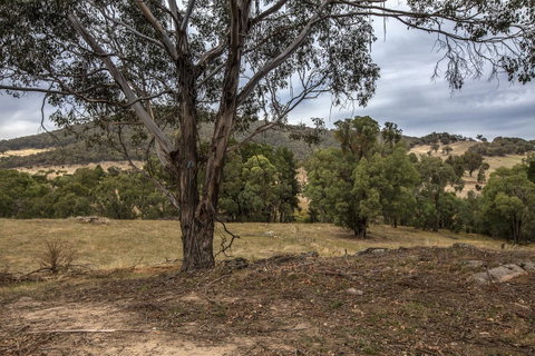 Pound Creek Gallery - Sydney Tourism 29