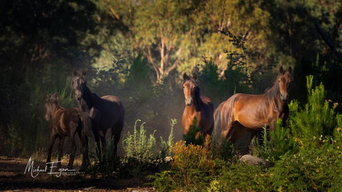 Pound Creek Gallery - Sydney Tourism 18