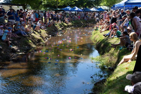 Pound Creek Gallery - Sydney Tourism 15