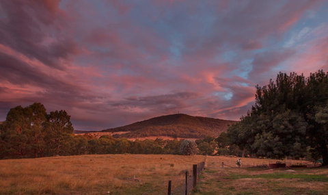 Pound Creek Gallery - Sydney Tourism 28