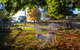 Pound Creek Gallery - thumb 27