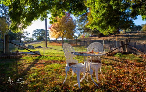 Pound Creek Gallery - Sydney Tourism 27