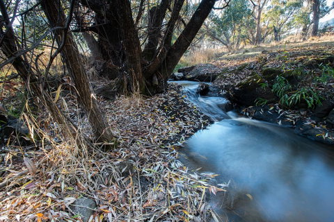 Pound Creek Gallery - Sydney Tourism 26
