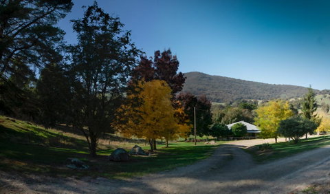Pound Creek Gallery - Sydney Tourism 7