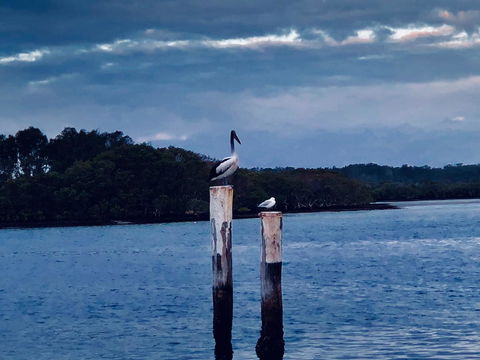 Boathouse Resort (Water Front) - Sydney Tourism 15