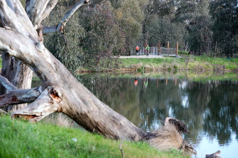 Mercure Albury - Sydney Tourism 15