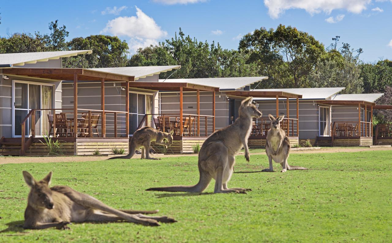 Nethercote NSW Sydney Tourism